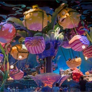 Blowfish Balloon Race