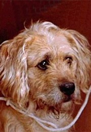 Barney in Gremlins (1984)