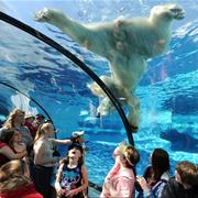 Detroit Zoo, Royal Oak