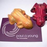 Paul A. Young