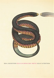 Ideal Suggestions: Essays in Divinatory Poetics (Selah Saterstrom)