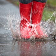 Splash in a Puddle