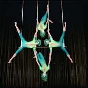 Attend a Cirque De Soleil Show