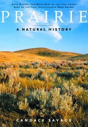 Prairie: A Natural History (Candace Savage)