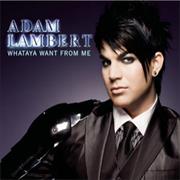 Adam Lambert - Whataya Want Fro Me