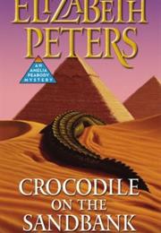 Crocodile on a Sandbank