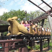 Flight of the Hippogriff