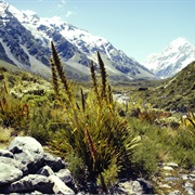 Queenstown, New Zealand