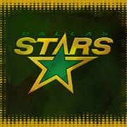 Dallas Stars Hockey Game