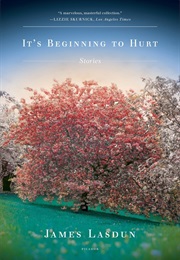It&#39;s Beginning to Hurt (James Lasdun)