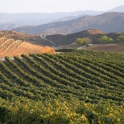 Temecula Valley