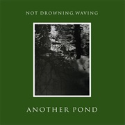 Not Drowning, Waving - Another Pond