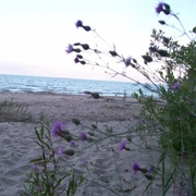 Lakeport State Park, Michigan