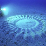 Ocean Crop Circles