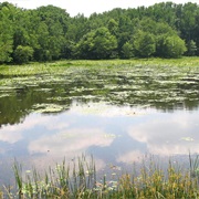 Patuxent River State Park, Maryland