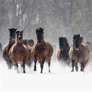 Muranska Planina National Park, Slovakia
