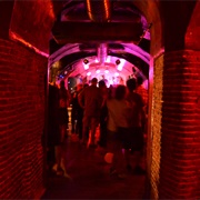 El Perro De La Puerta De Atrás Del Coche