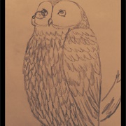 Jaunty Owl Angelina Jensen