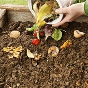 Compost Food Waste