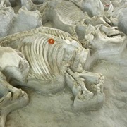 Ashfall Fossil Beds State Historical Park, Nebraska