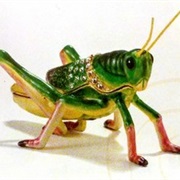 Glittering Grasshopper