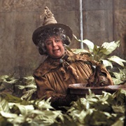 Professor Sprout