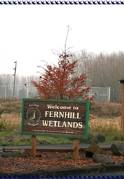 Fern Hill (Dylan Thomas)