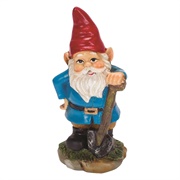 A Garden Gnome