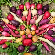 Grow Some Heirloom Vegetables