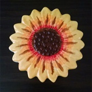 Painted Sunflower