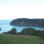 Mahurangi West Walk in Auckland - Medium (2 Hours)