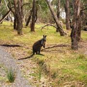 Churchill National Park (VIC)