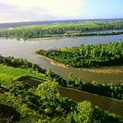 Good Night Scrub National Park (QLD)