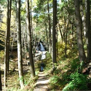 Pocono Environmental Education Center, Pennsylvania