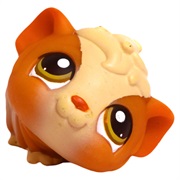 Littlest Pet Shop #213