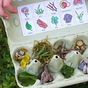 Nature Collection Box