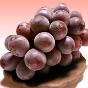 Kyoho Grape