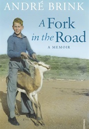 A Fork in the Road (André Brink)