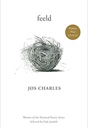 Feeld (Jos Charles)