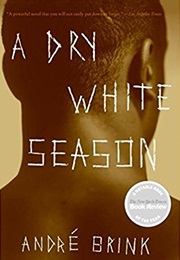 A Dry White Season (André Brink)