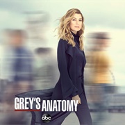 Grey&#39;s Anatomy: Season 16