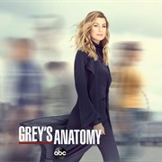 Grey's Anatomy: Season 16