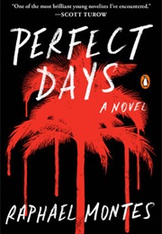 Perfect Days (Raphael Montes)