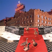 The Peabody, Memphis - United States