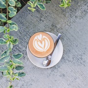 Coffee in the Central Mountains of Puerto Rico