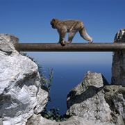 Apes' Den, Gibraltar