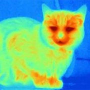 Take a View Through an IR Camera