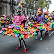 Watch a Street Parade
