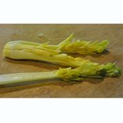 Celery Heart