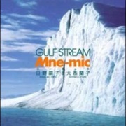 MNE-MIC - Gulf Stream